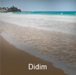 Didim Turkey Tours