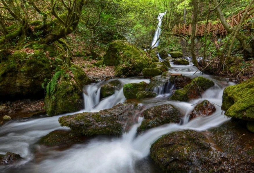 Daily Duzce Eftani Lake and Waterfalls Tour