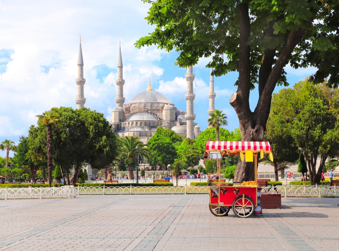 Daily Half Day Istanbul City Tour