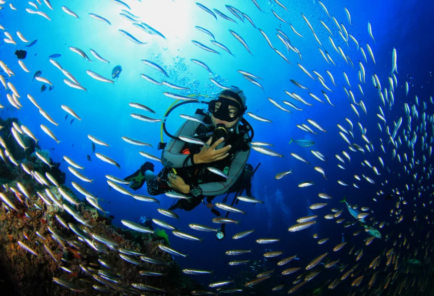 Daily Diving Tour from Mugla