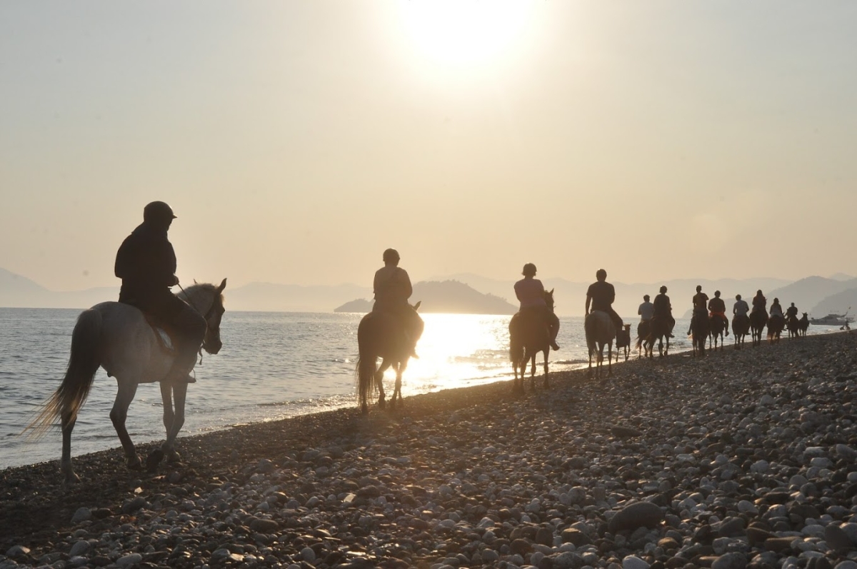 Daily Fethiye Horse Riding Tour