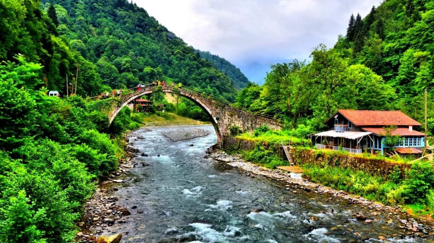 Daily Rize Pokut Plateau Tour