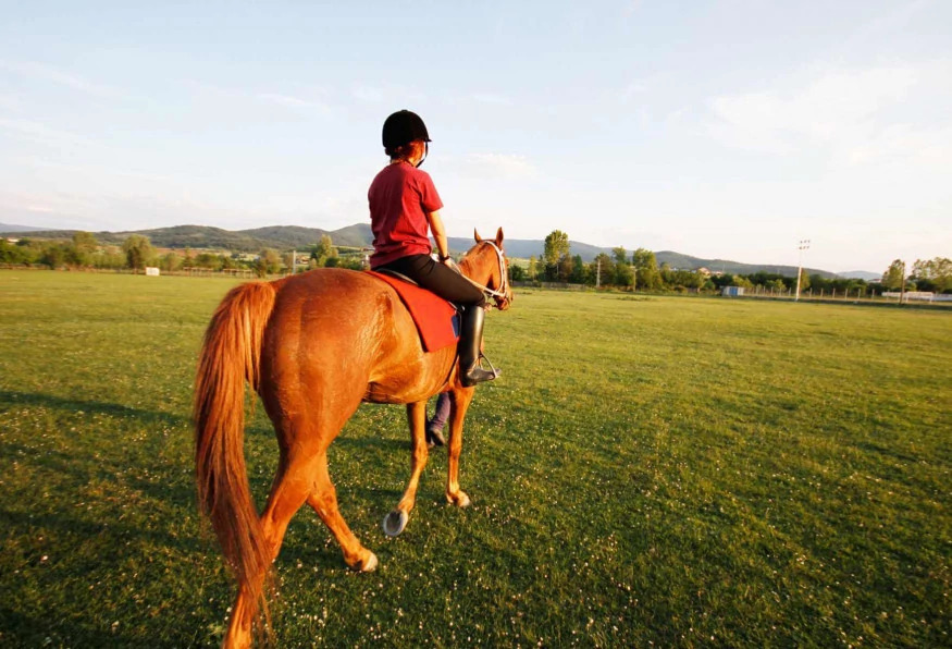 Daily Kastamonu Daday Horse Farm Tour